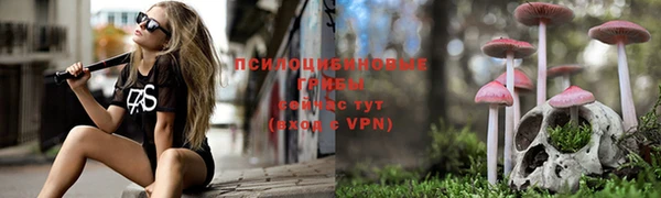 а пвп мука Ельня