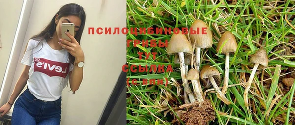 метадон Елабуга