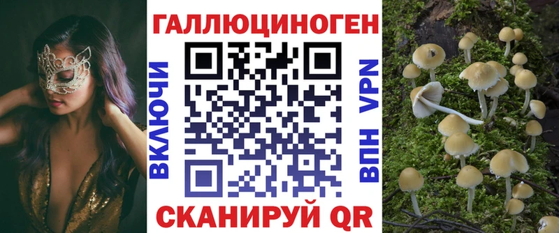 Псилоцибиновые грибы Psilocybine cubensis  Микунь 